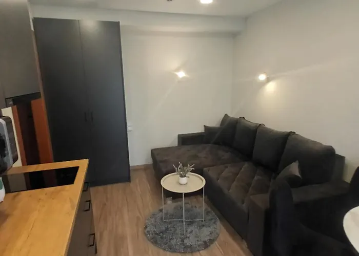 Apartman Raudonu Plytu Apartamentai