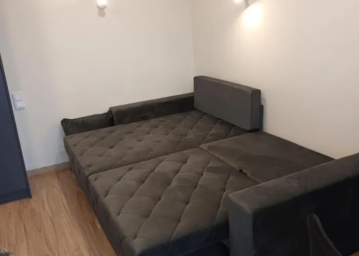 דירה Raudonu Plytu Apartamentai פלאנגה