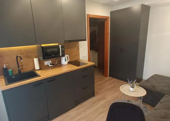 Raudonu Plytu Apartamentai Palanga